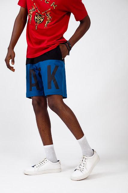 NACK 2 Tone Short in Blue - Shorts