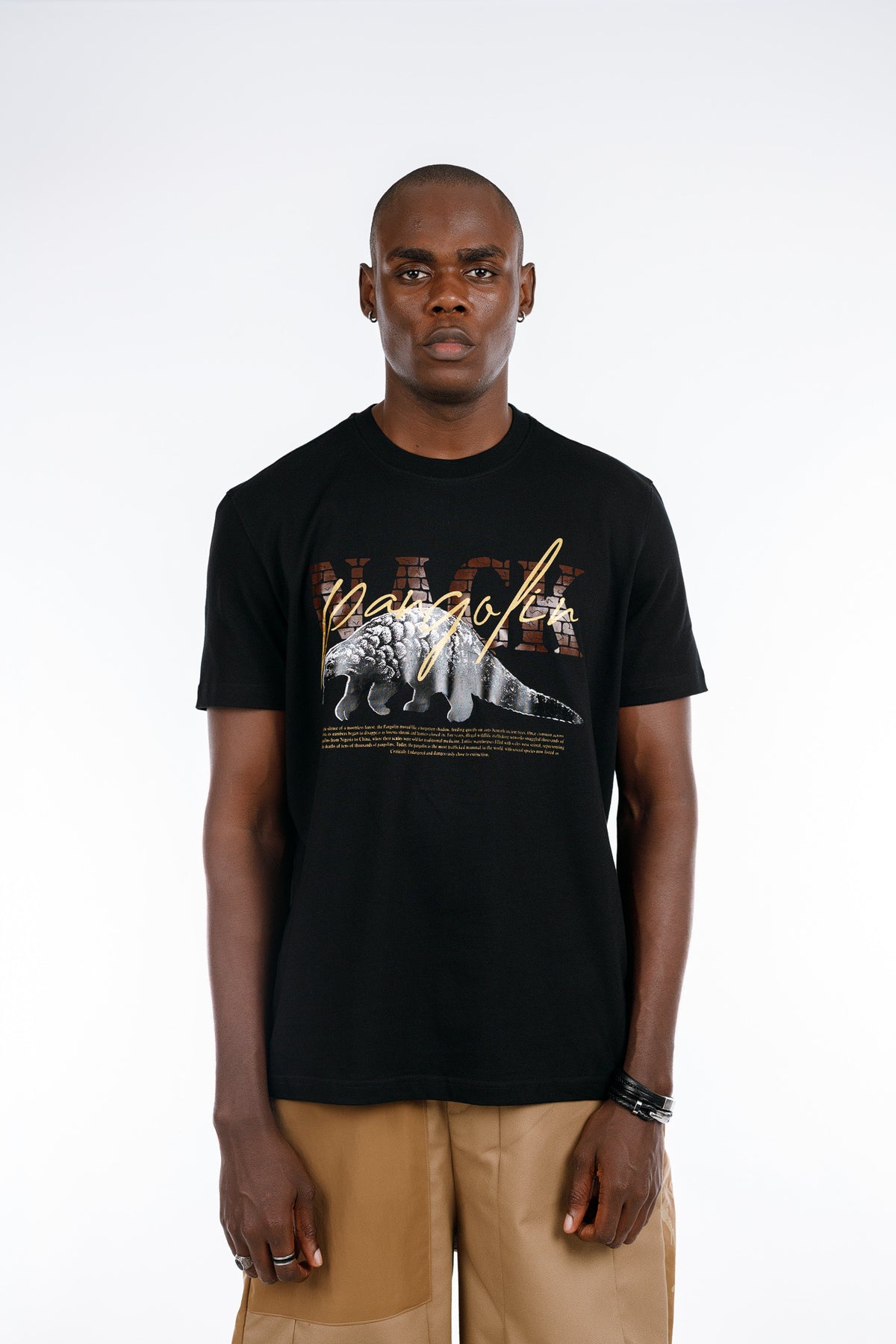 Pangolin Tee in Black